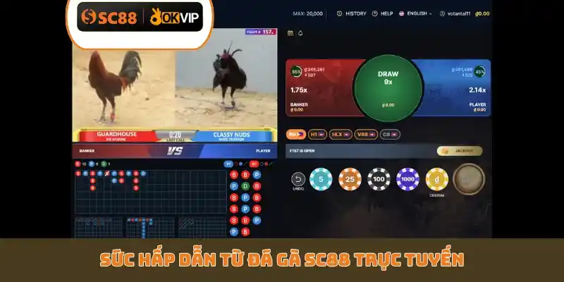 Sức hấp dẫn từ đá gà SC88 trực tuyến